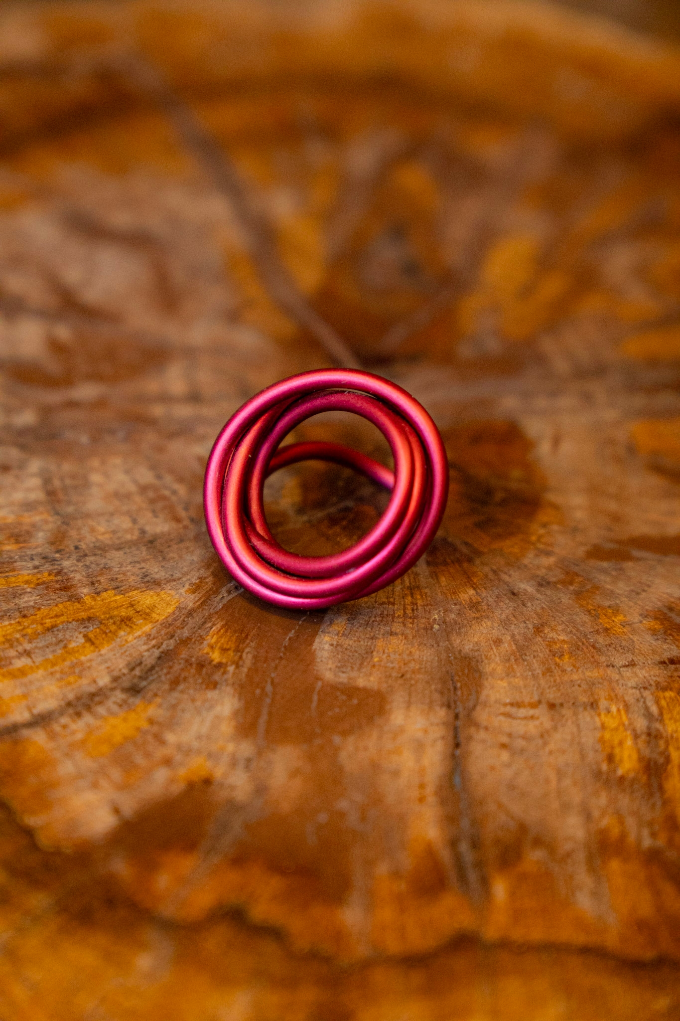 _DSC0843